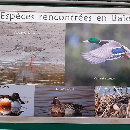公寓 L Ilot De La Baie, Super 4p Face A La Mer, Parking Gratuit, Wifi, Classe 2 Etoiles A Mahon Plage, Baie De Somme