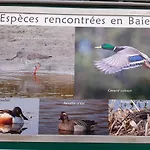 Apartmán L Ilot De La Baie, Super 4p Face A La Mer, Parking Gratuit, Wifi, Classe 2 Etoiles A Mahon Plage, Baie De Somme