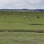 Apartmán L Ilot De La Baie, Super 4p Face A La Mer, Parking Gratuit, Wifi, Classe 2 Etoiles A Mahon Plage, Baie De Somme