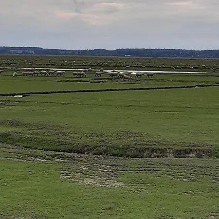 L Ilot De La Baie, Super 4p Face A La Mer, Parking Gratuit, Wifi, Classe 2 Etoiles A Mahon Plage, Baie De Somme شقة *